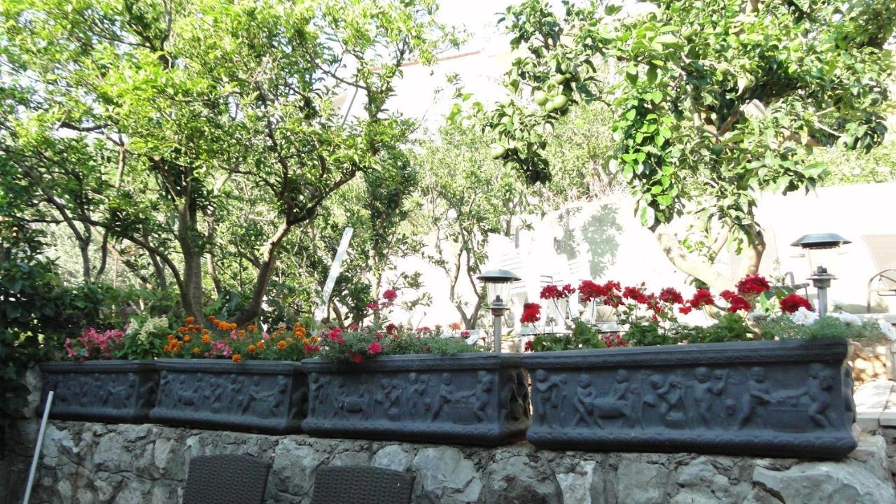 Holiday Home Apartment Tedo Klek Εξωτερικό φωτογραφία
