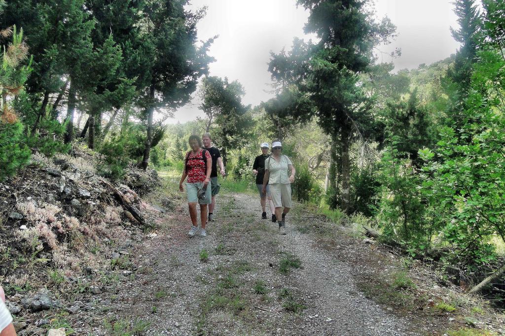 Holiday Home Apartment Tedo Klek Εξωτερικό φωτογραφία